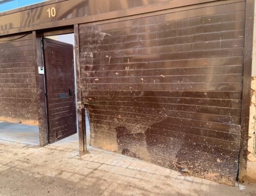 Daños por la DANA en Valencia: Guía para reclamar indemnizaciones